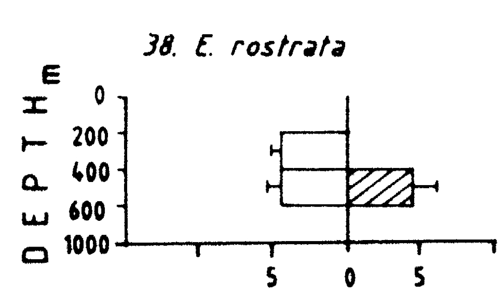 Espce Euchirella rostrata - Carte de distribution 11