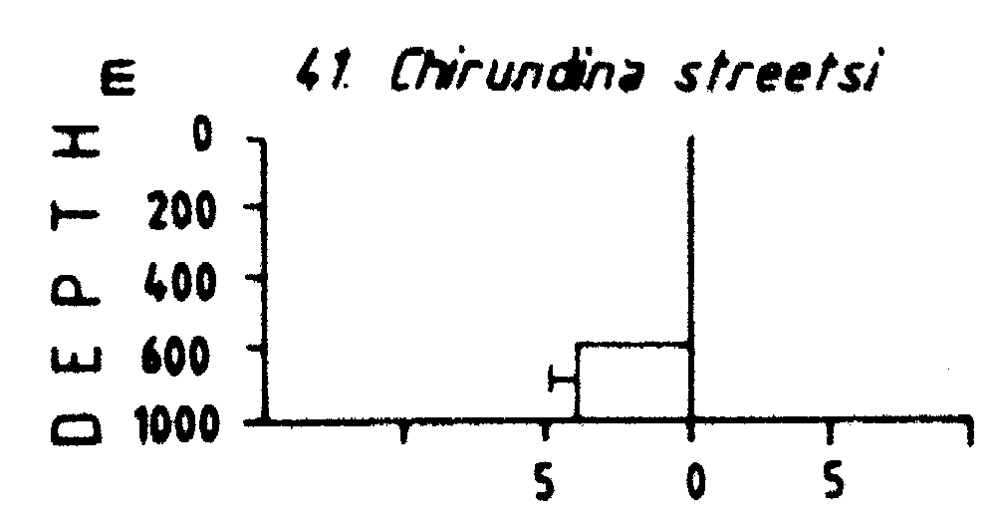 Species Chirundina streetsii - Distribution map 4