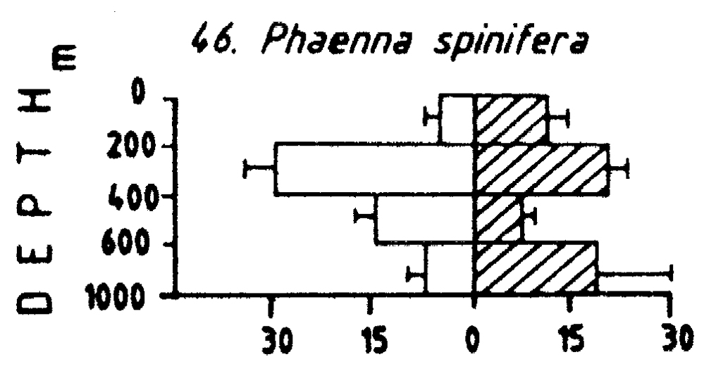 Espèce Phaenna spinifera - Carte de distribution 5