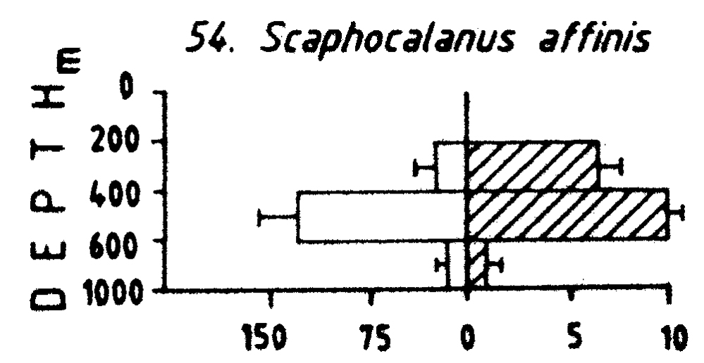 Species Scaphocalanus affinis - Distribution map 5