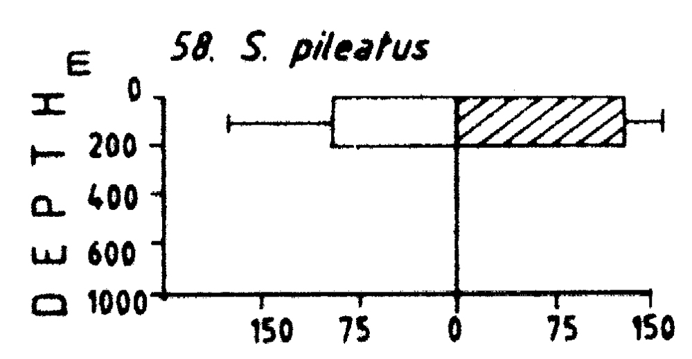 Espce Subeucalanus pileatus - Carte de distribution 9
