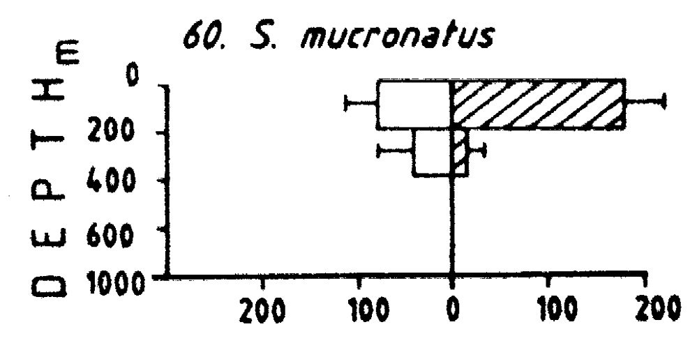 Espce Subeucalanus mucronatus - Carte de distribution 5