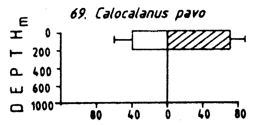 Espce Calocalanus pavo - Carte de distribution 8