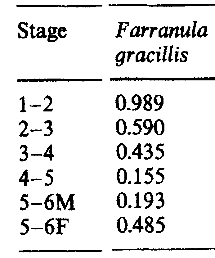 Species Farranula gracilis - Distribution map 8