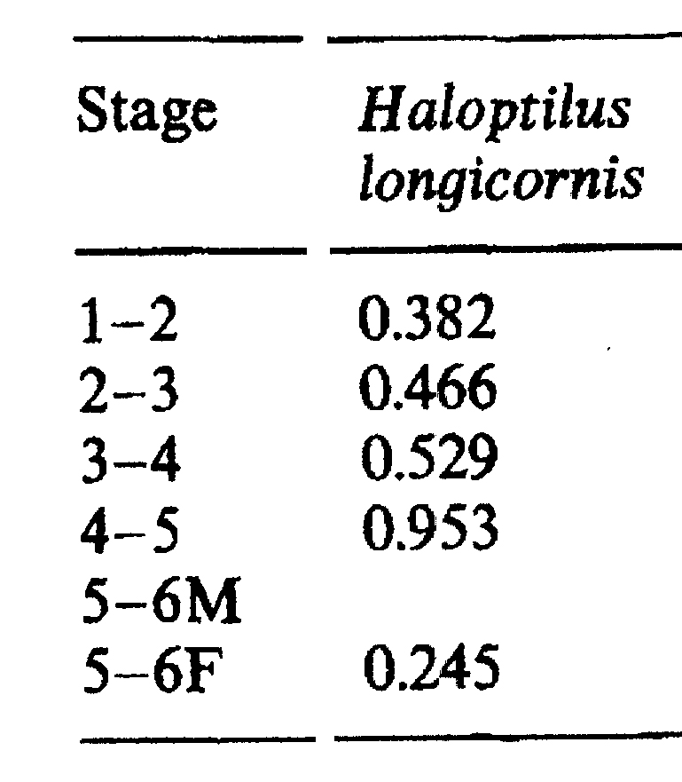 Espce Haloptilus longicornis - Carte de distribution 13