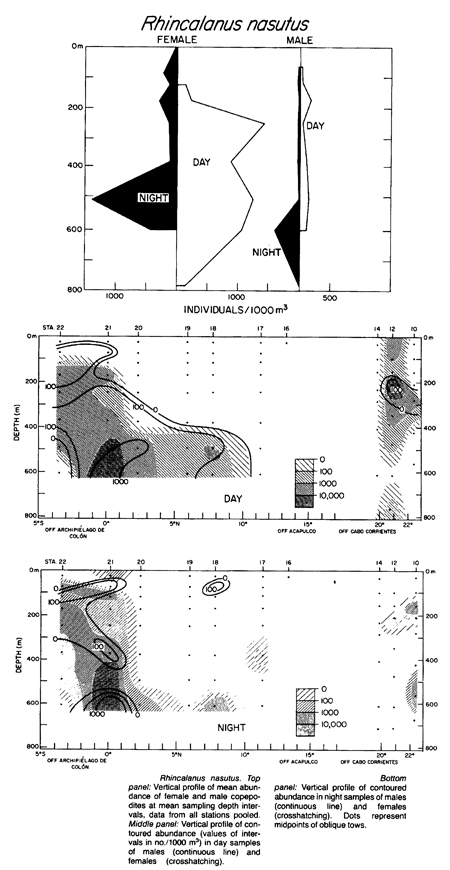 Espèce Rhincalanus nasutus - Carte de distribution 15