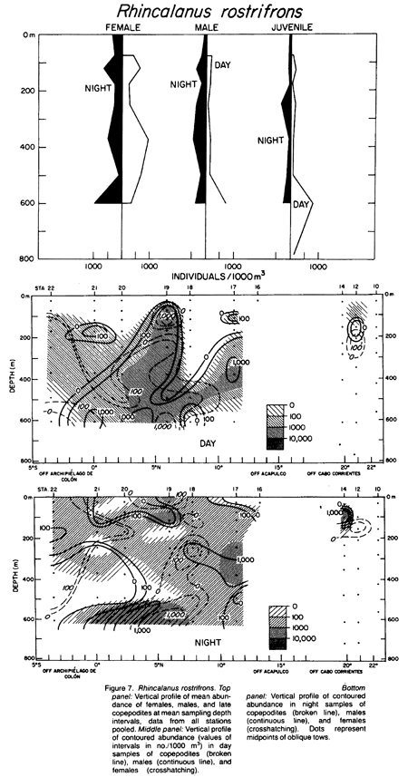Species Rhincalanus rostrifrons - Distribution map 6