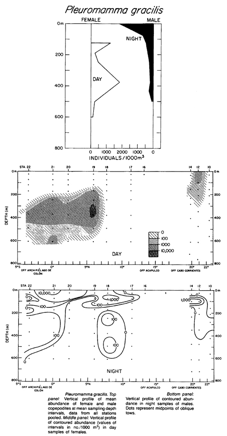 Espce Pleuromamma gracilis - Carte de distribution 15