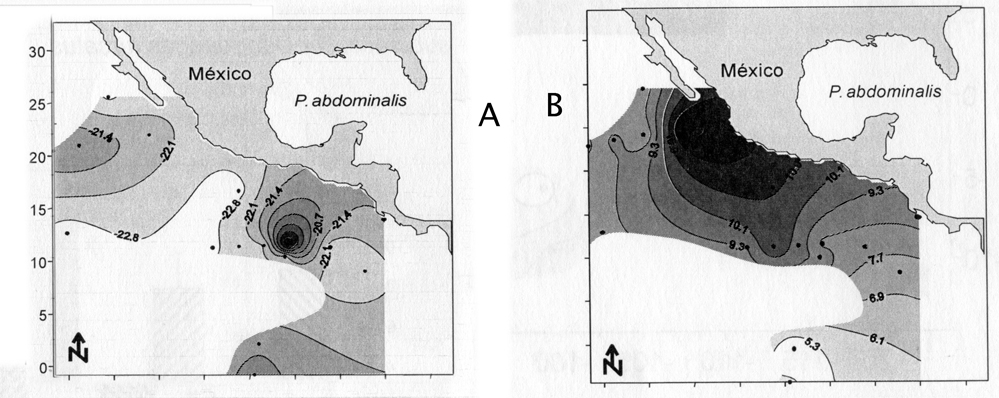 Espèce Pleuromamma abdominalis - Carte de distribution 22