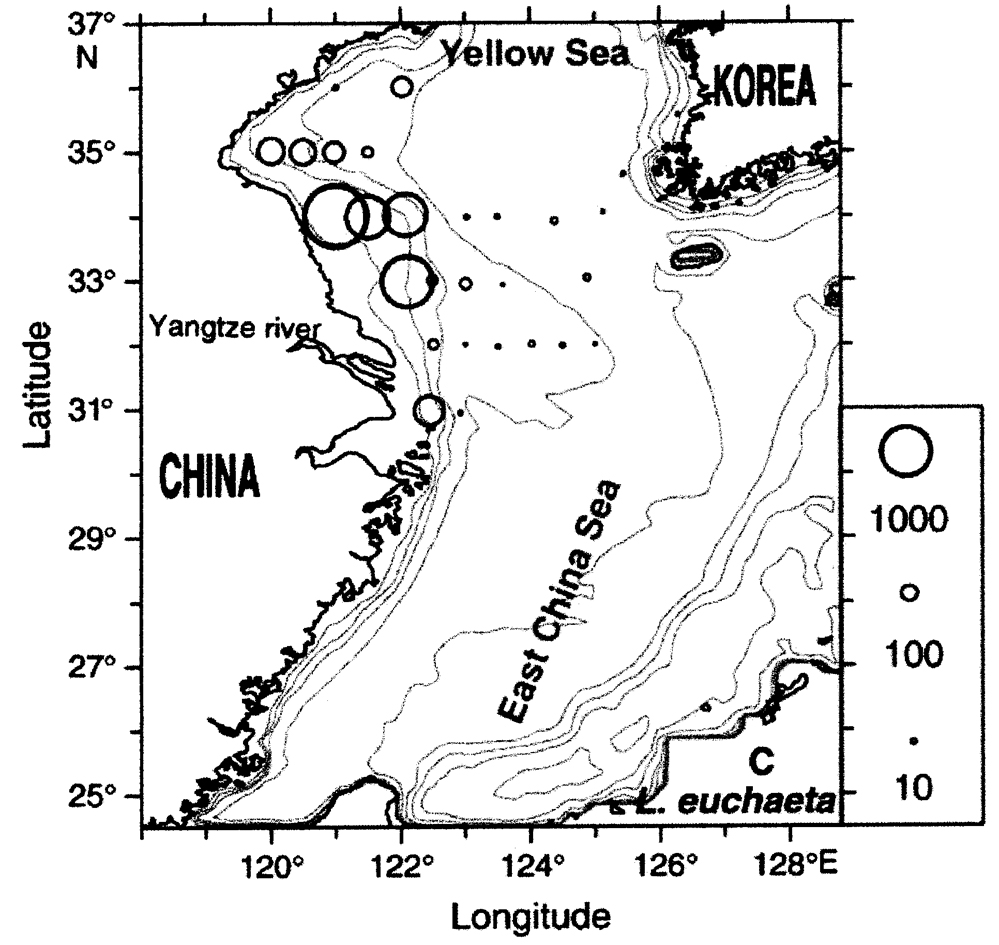 Species Labidocera euchaeta - Distribution map 9
