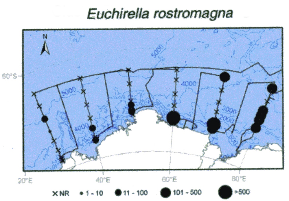 Espèce Euchirella rostromagna - Carte de distribution 8