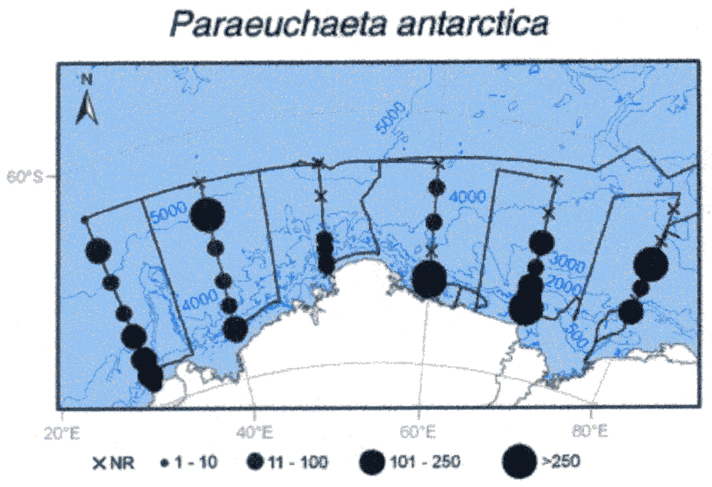 Species Paraeuchaeta antarctica - Distribution map 21