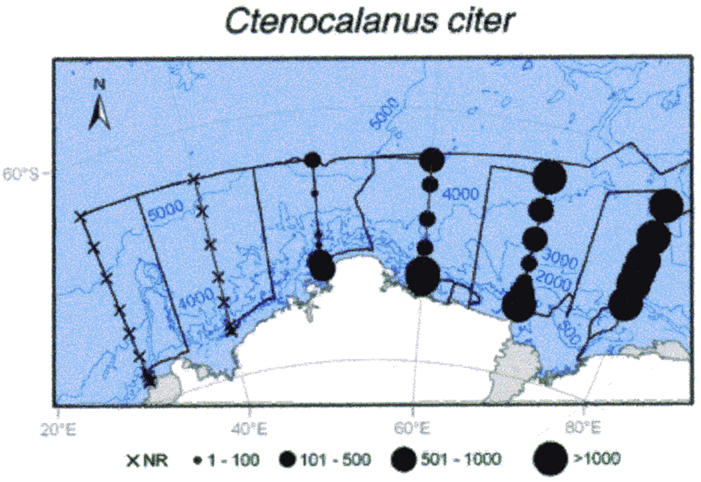 Espce Ctenocalanus citer - Carte de distribution 8