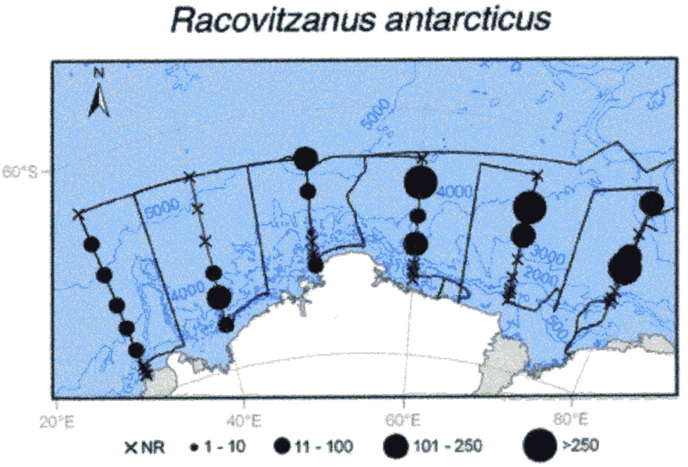 Espce Racovitzanus antarcticus - Carte de distribution 4