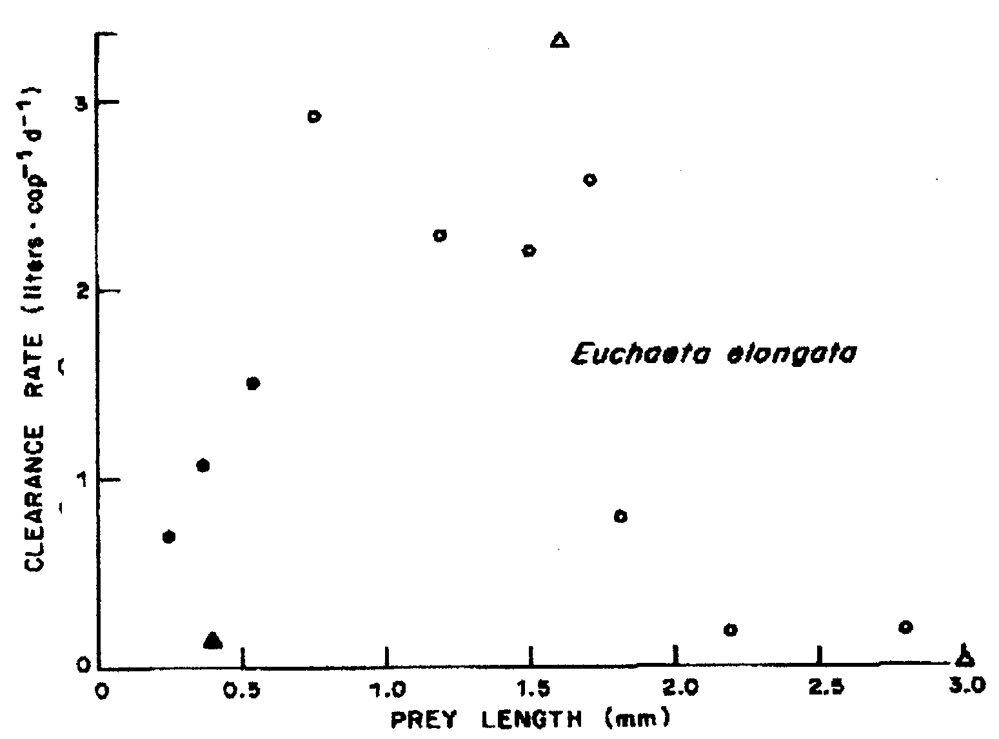 Espce Paraeuchaeta elongata - Carte de distribution 4
