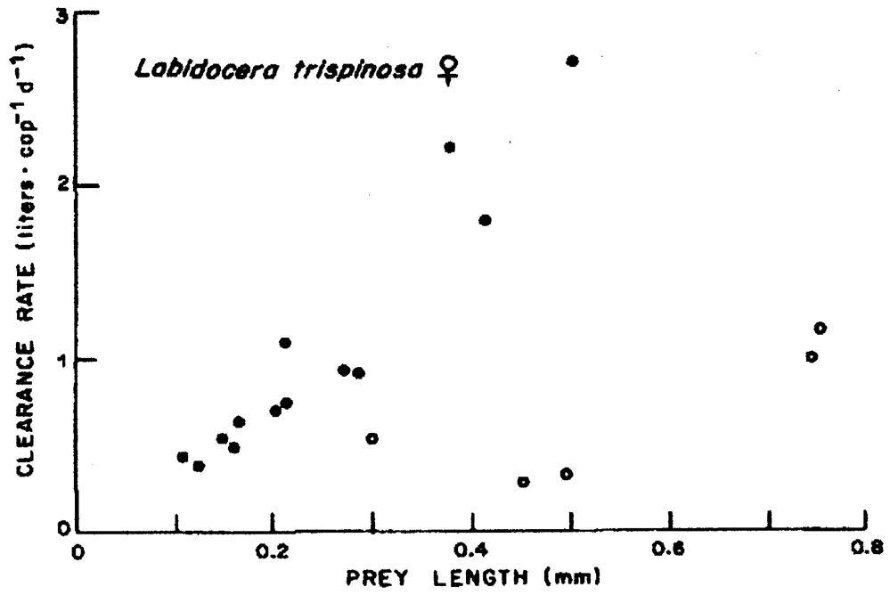 Species Labidocera trispinosa - Distribution map 5