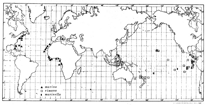 Espèce Euchaeta marina - Carte de distribution 3