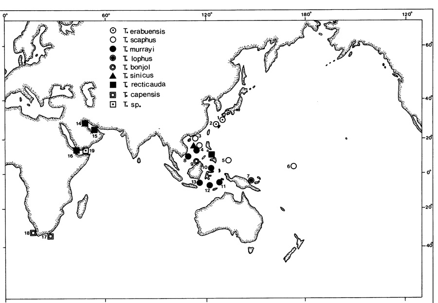 Species Tortanus (Atortus) scaphus - Distribution map 2