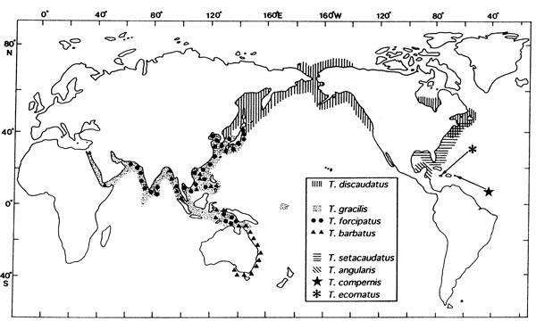 Espce Tortanus (Boreotortanus) discaudatus - Carte de distribution 2