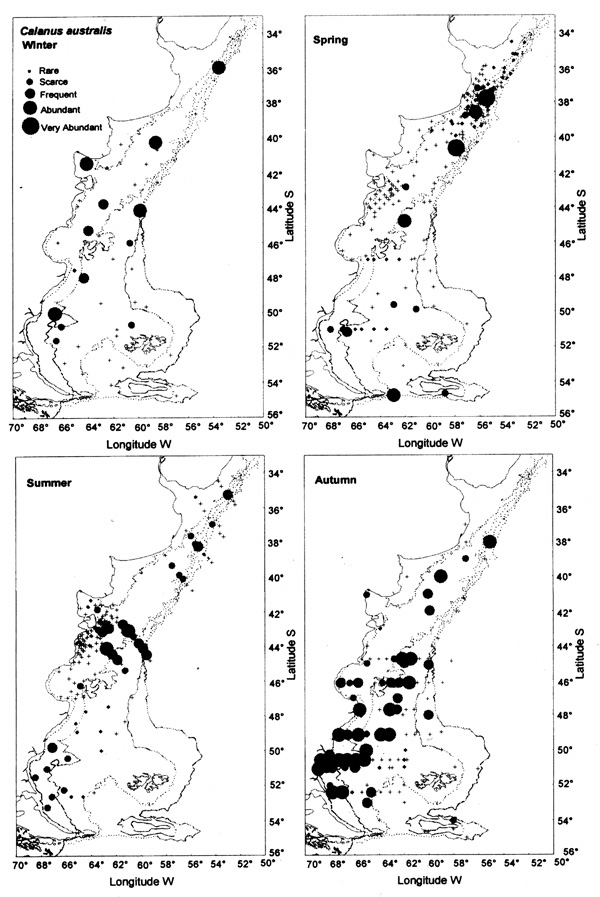 Species Calanus australis - Distribution map 3
