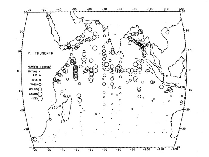 Species Candacia truncata - Distribution map 3