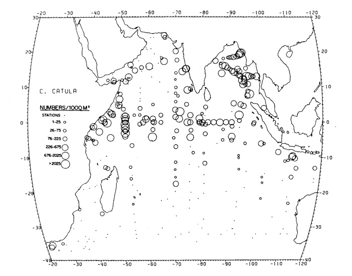Species Candacia catula - Distribution map 3