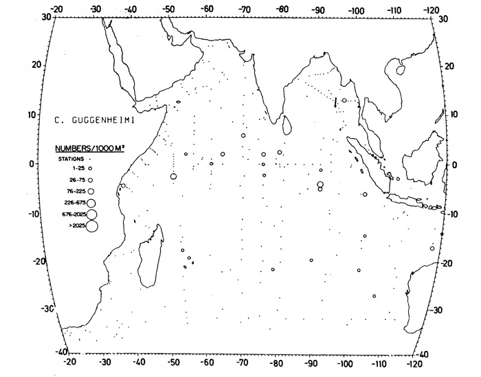 Species Candacia guggenheimi - Distribution map 2