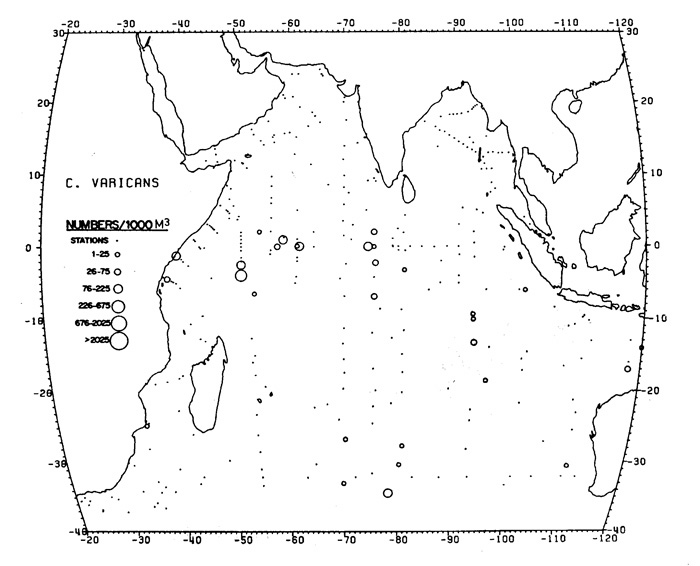 Espèce Candacia varicans - Carte de distribution 3