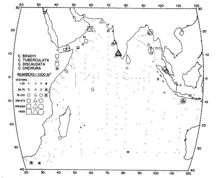Species Candacia bradyi - Distribution map 3