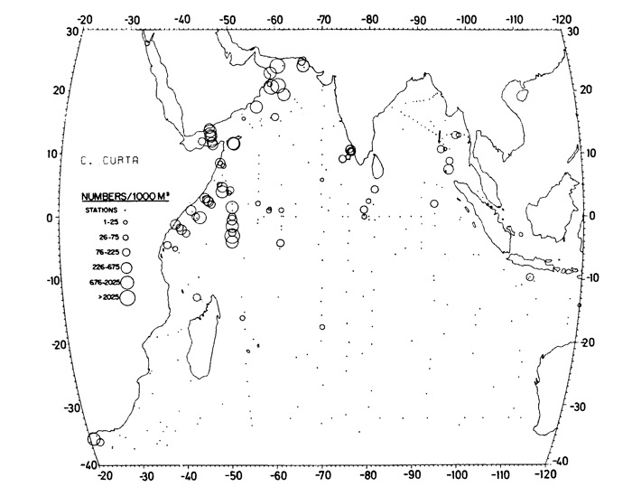 Species Candacia curta - Distribution map 4