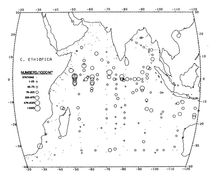 Espce Candacia ethiopica - Carte de distribution 3