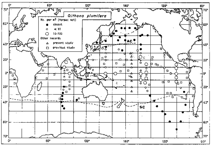 Species Oithona plumifera - Distribution map 4