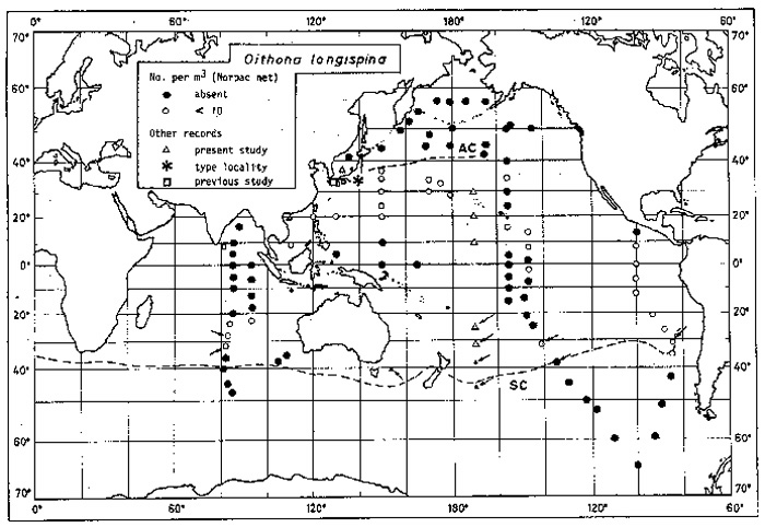 Species Oithona longispina - Distribution map 3