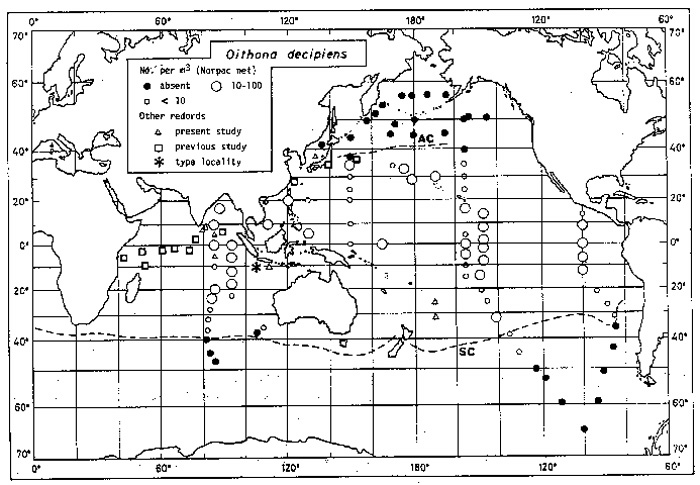 Species Oithona decipiens - Distribution map 3