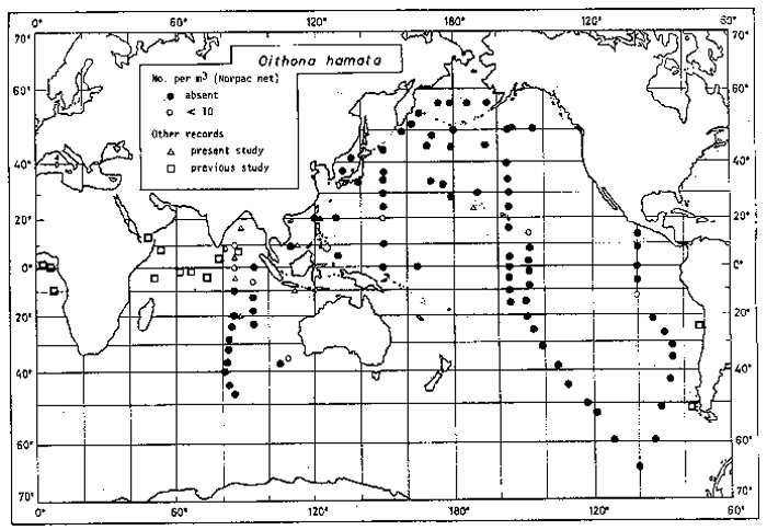 Species Oithona hamata - Distribution map 3