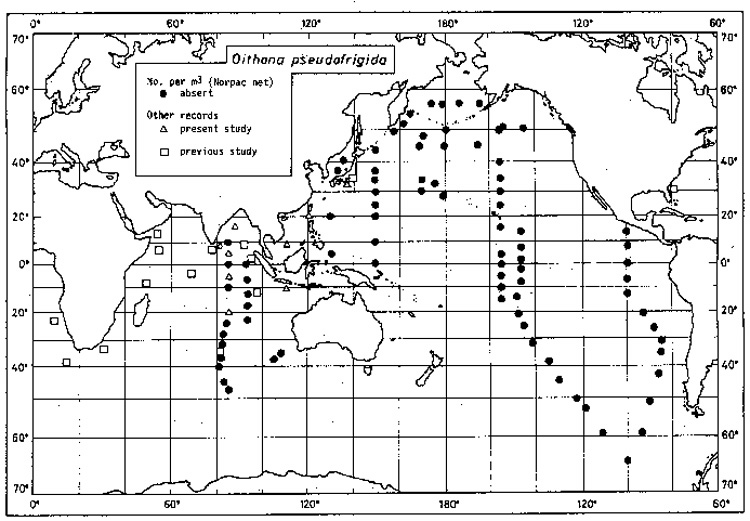 Species Oithona pseudofrigida - Distribution map 3