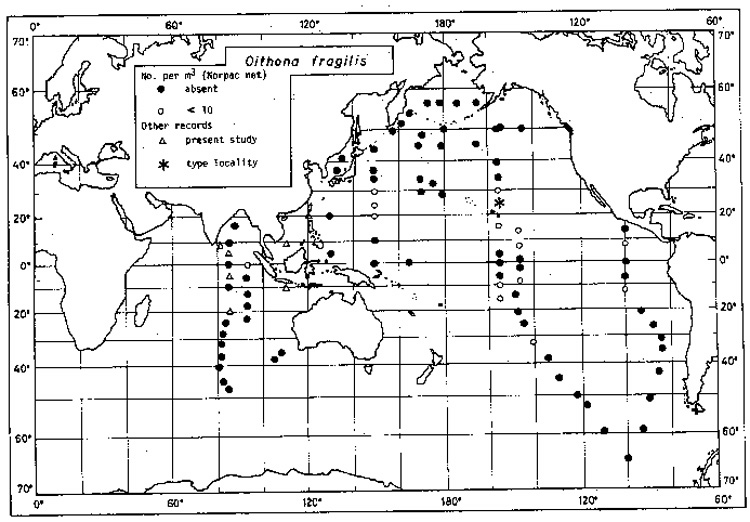 Species Oithona fragilis - Distribution map 2