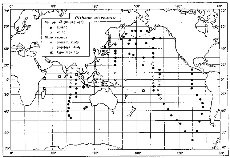 Species Oithona attenuata - Distribution map 3