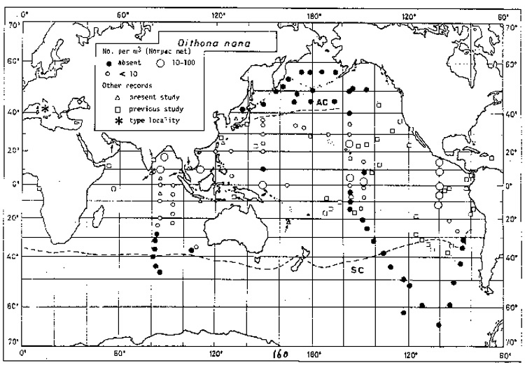 Species Oithona nana - Distribution map 3