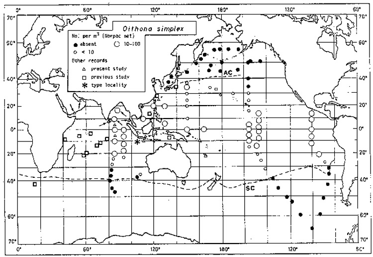 Species Oithona simplex - Distribution map 4