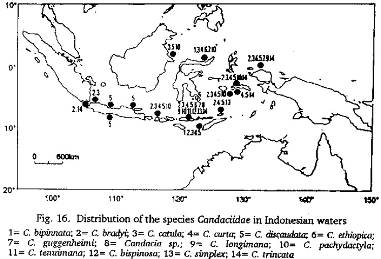 Species Candacia guggenheimi - Distribution map 3