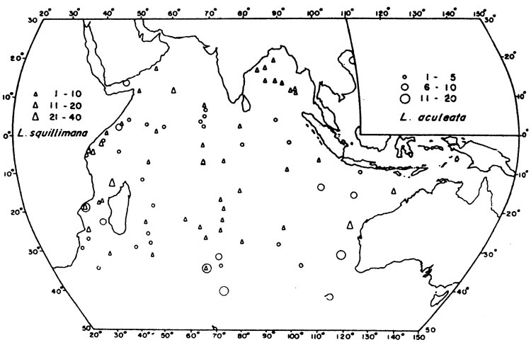 Species Lubbockia squillimana - Distribution map 3
