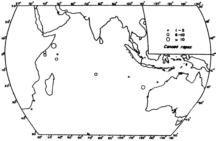 Espce Conaea rapax - Carte de distribution 4
