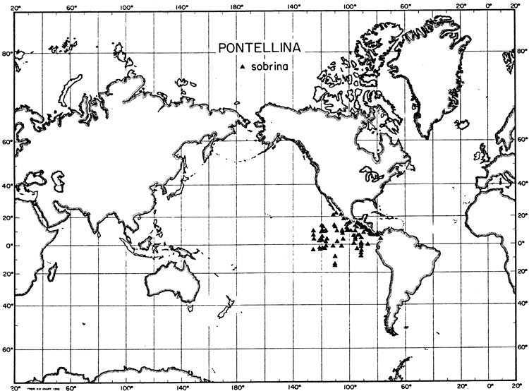 Espce Pontellina sobrina - Carte de distribution 3