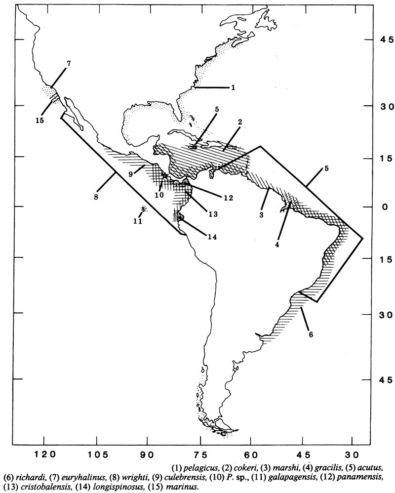 Species Pseudodiaptomus marshi - Distribution map 2