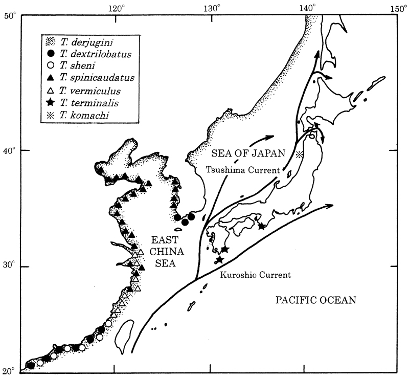 Species Tortanus (Eutortanus) derjugini - Distribution map 3