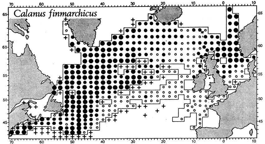 Species Calanus finmarchicus - Distribution map 4