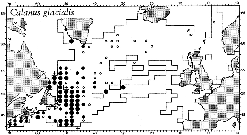 Species Calanus glacialis - Distribution map 3