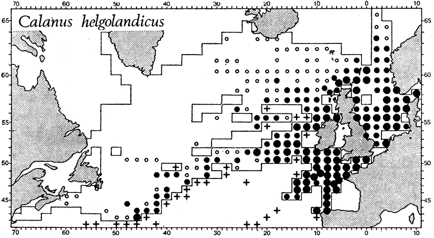 Species Calanus helgolandicus - Distribution map 3