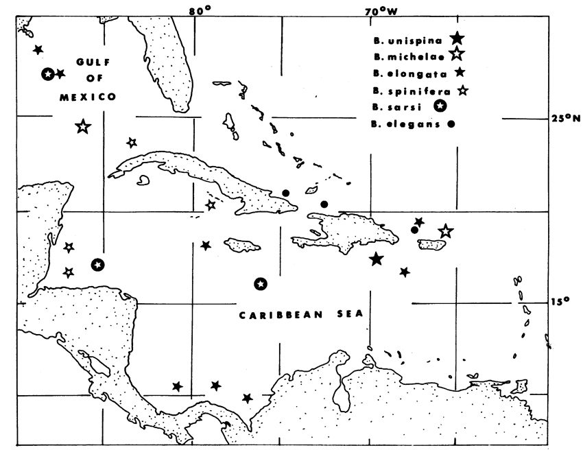Espèce Temorites spinifera - Carte de distribution 2